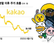 폭락한 주식나라의 '연봉킹'..."CEO 300억 받고, 개미는 울고"