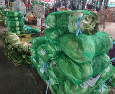 [르포]썩어버린 배추, 안 잡히는 멸치…비싸서 못 사고, 없어서 못 판다