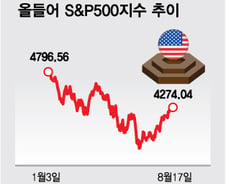 美증시, 하나 남은 강세장 허들 못 넘은 채…조정 임박?[오미주]
