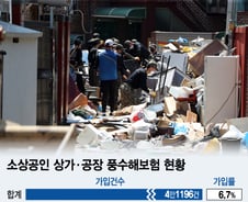 [단독] 물폭탄 맞은 서울...풍수해보험 든 가게는 고작 0.8%