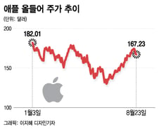 애플, 단기 조정 불가피…애플카 나오면 2년내 250달러[오미주]
