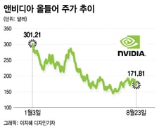 올해 42% 폭락한 엔비디아…인내의 시간 길어질까[오미주]