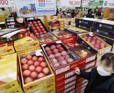 농산물 쿠폰 1700억 푼다…신생아 부모에 '월 70만원' 지급