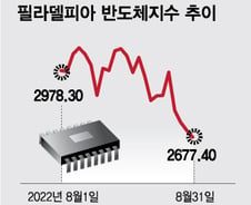 악재 쌓이는 반도체주…저가 매수? 생각도 말라[오미주]