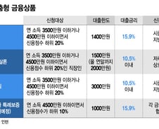 연체이력 있어도 OK…'최저신용자 특례상품' 금리·한도는?