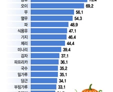 야채값이 왜 이래?…80% 치솟은 배추·호박에 '멘붕'