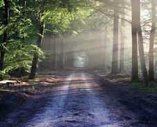 세상에 없는데, 가질 수 있다고 착각하는 3가지[줄리아 투자노트]