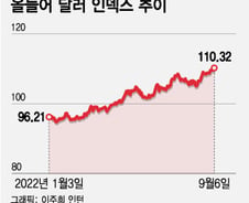 "가장 덜 나쁘다"…불안해도 美 증시에 몰리는 돈[오미주]