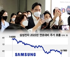 "삼성전자 4% 급등, 얼마만이야" 황태자 돌아오니 태·조·방 급락