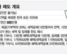 10만원 기부하면 13만원 돌려준다..고향사랑기부금 도입 'D-100'