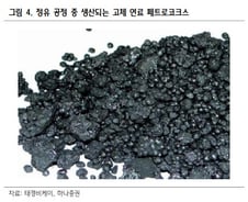 '코크스' 독과점 기업, 이달 주가 35% 껑충 뛴 비결