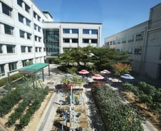 "사람도 쓰레기도 들어오면 갇힌다"..공무원 역사 시작되는 '여기'