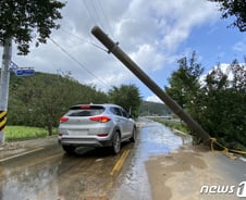"전봇대 들이받아 넘어뜨려도 전깃값 안 물어준다고?"