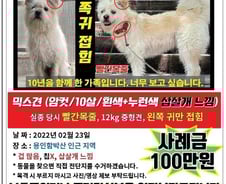 "똘이야, 집에 가자"…9개월째 함께 찾는 사람들[인류애 충전소]