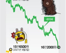 어쩌다 이 지경까지…추락하는 한국 IT의 자존심 네카오
