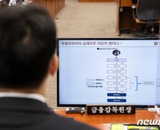 [단독] 인수설 띄워 시장교란?…금감원, 빗썸 '머니게임 의혹' 강종현 조사