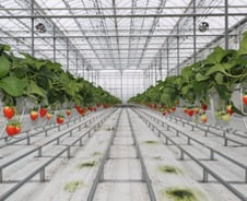 [기자수첩] 소멸해가는 지역에서 희망 품은 청년들