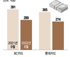 [단독]DSR 규제·증시 급락 직격탄…카드사 스탁론 잔액 1년새 30%↓