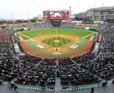 이태원 참사에 KBO 긴급 논의 "응원 축소 검토"