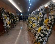 "이태원서 퇴근하다가…쉰살 아들 숨져" 칠순 노모의 눈물