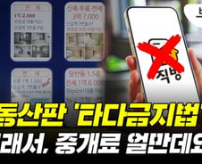 제2의 '타다금지법' 논란…소비자들 "중개료가 얼만데?"[부릿지]