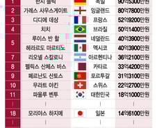 [더차트]벤투 얼마 받길래…월드컵 감독 연봉순위는 韓 '16강'