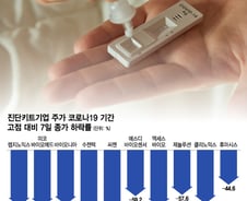 팬데믹에 15만원, 엔데믹에 3만550원…진단키트 투자 '곡소리'