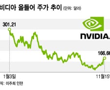 한달간 48% 폭등한 엔비디아…상승 정당했나, 시험대[오미주]