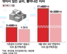 "한달 원리금만 69만원 늘었다...월급의 절반이 대출 원리금"