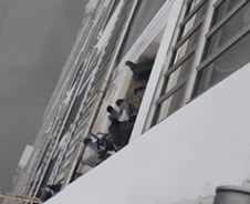 [더영상] 아파트 실외기에 비둘기 밥…'사격 국대' 김민경의 실수