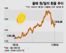 "내년 원/달러 환율 1320~1370원...하반기 1200원대 간다"
