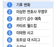 [더차트]이태원 사고도 월드컵도 아니었다…구글 검색어 올해 1위는