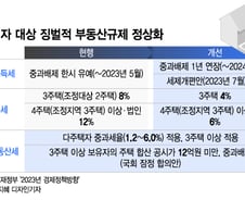 "규제지역 다주택자도 LTV 30%까지 주택담보대출 허용"