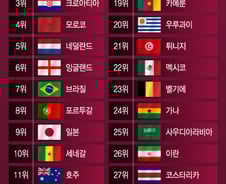 [더차트]카타르 월드컵 최종순위, 한국 16위…일본 9위, 왜?