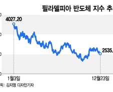 두달간 30% 상승→2주간 10% 하락…美 반도체, 사도 될까[오미주]