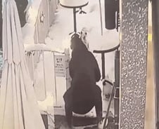 [더영상] 눈사람 훔치면 절도죄?…美 '괴물 눈폭풍' 57명 사망