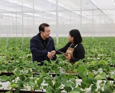 "청년농 키우자" 농지 선임대-후매도 도입…月110만원 지원