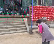 [르포]눈 내린 조계사…합장, 탑돌이하는 할머니들 '만원의 행복'