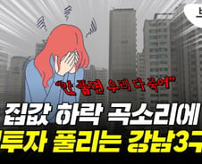 강남3구 갭투자 풀린다?…집값 '꿈틀', 매물 거둔 잠실 대장주 [부릿지]