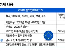 "EU 수출 20% 증발"…10월 올라갈 '탄소 장벽'에 철강 속수무책