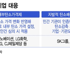 "미리 준비하면 돈 번다"…'탄소배출권=기회' 기업의 역발상