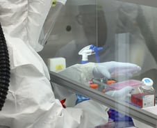 [우보세]부메랑 된 바이오 3조 CB 돈잔치