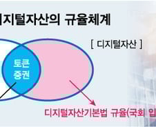 코인? 증권? 토큰증권에 가상자산시장 '혼란'