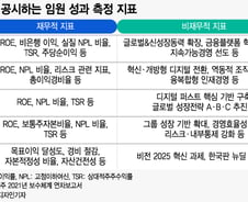 [단독]불친절한 금융사 임원 성과급 공시 개선…"자율항목 일부 의무화"