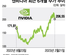 4개월간 2배 오른 뒤 4일간 10% 하락…AI 수혜주 엔비디아 실적 발표[오미주]