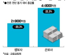 진격의 손보, 뒤처지는 생보···보험 맏형 바뀐다