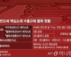 "日과 협력 환영·국산화 노력 계속"…두 마리 토끼 잡는 韓반도체