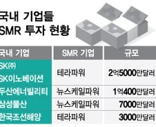 [단독]빌 게이츠와 손잡은 HD현대, 'SMR 발전선' 디자인 첫 공개