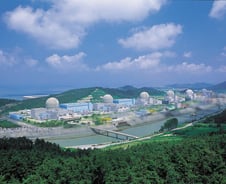 [단독]영광·울진도 원전 부지안에 사용후핵연료 임시저장시설 짓는다