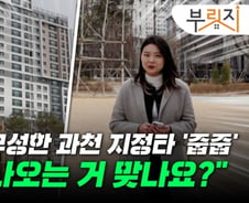 "8억 로또" 소문만 무성…과천 지정타, 아무나 '줍줍' 못 한다?[부릿지]